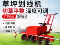 點(diǎn)擊查看詳細(xì)信息<br>標(biāo)題：草皮劃線(xiàn)機(jī) 閱讀次數(shù)：3060